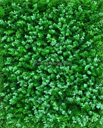 دیوار سبز شمشادی (گرین وال)